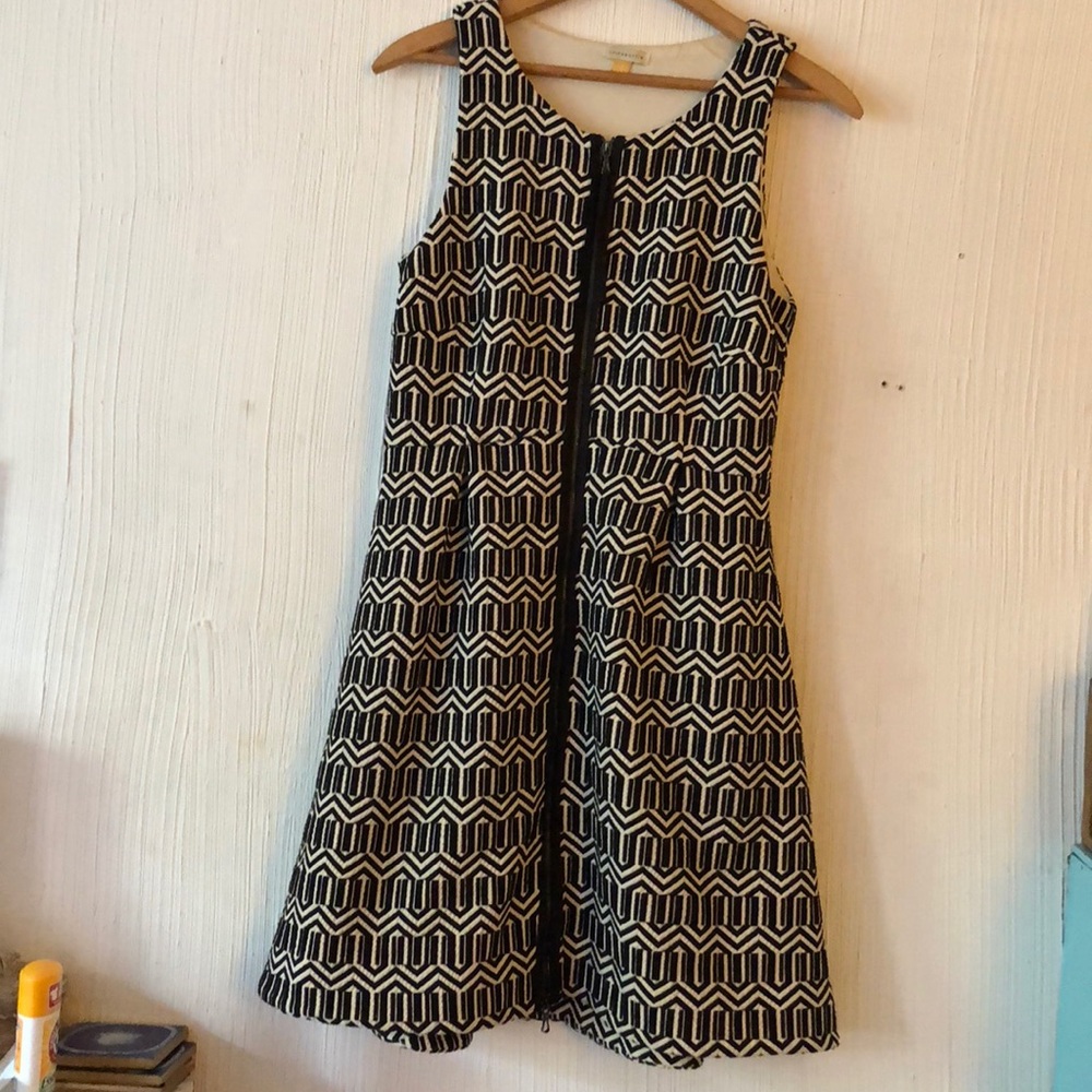 Anthropologie Leifsdottir Skater Dress